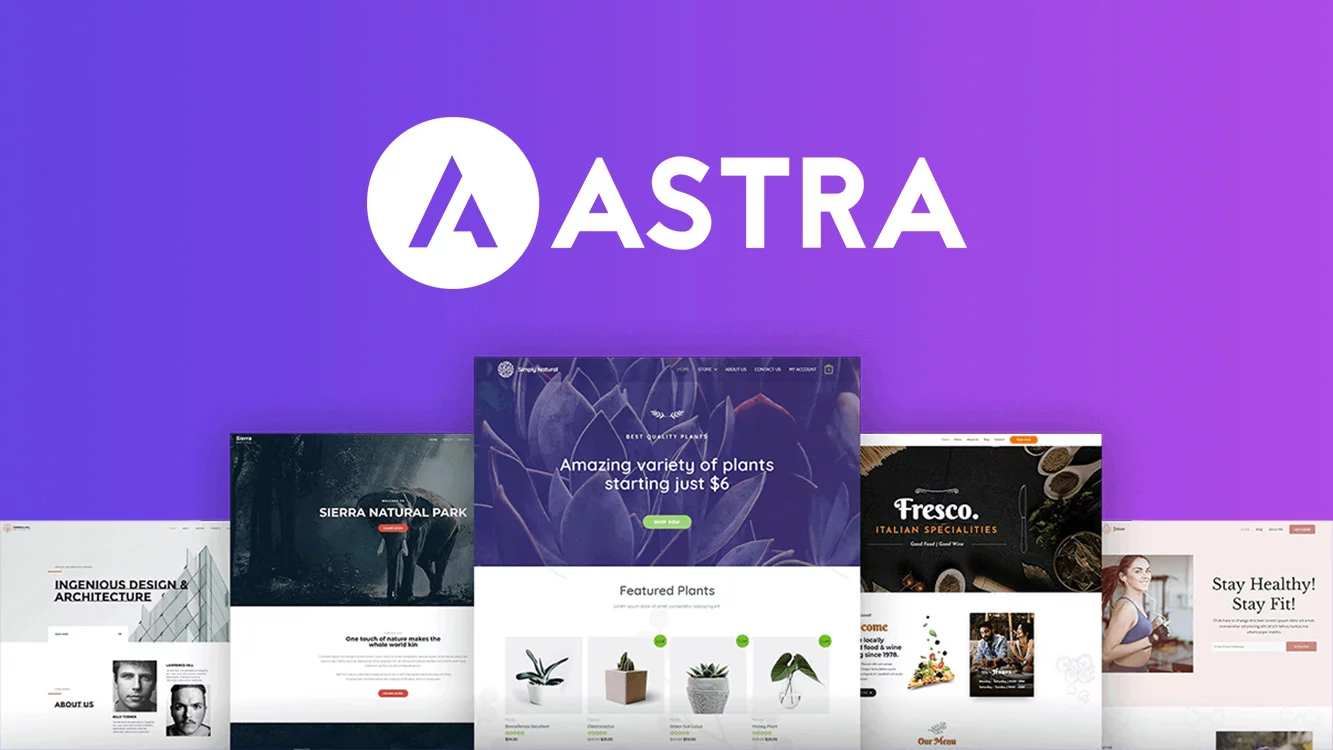 Astra Pro Addon v4.11.10 激活汉化版 Astra主题高级插件
